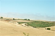 006-Volubilis-Meknes-Fez
