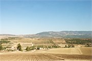 013-Volubilis-Meknes-Fez