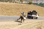 020-Volubilis-Meknes-Fez