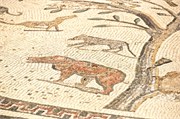 035-Volubilis-Meknes-Fez