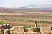 049-Volubilis-Meknes-Fez
