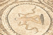 077-Volubilis-Meknes-Fez