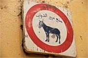 010-Fez
