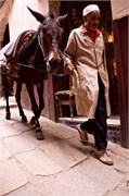 056-Fez