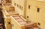 072-Fez