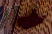 077-Rissani_SaharaCamp