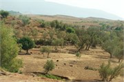 070-AitBenHaddou_Marrakesh