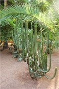 007-Marrakesh_BahiaPalace