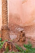 041-Marrakesh_BahiaPalace