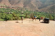 022-Majorelle_Marrakesh