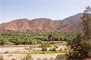 033-Majorelle_Marrakesh
