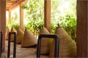 041-Majorelle_Marrakesh