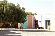 030-ArganOilLoop_Essaouira
