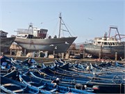 079-Essaouira_Gnawa_Henna