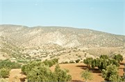 008-CasablancaFarewell