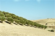 004-Volubilis-Meknes-Fez