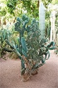013-Marrakesh_BahiaPalace