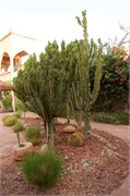 071-Desert_Todra_AltBenHaddou