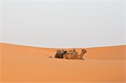 173-Rissani_SaharaCamp