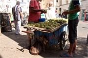 093-Fez