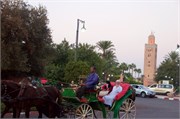 102-Marrakesh_BahiaPalace