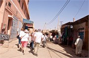 034-Majorelle_Marrakesh