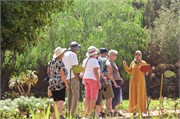 043-Majorelle_Marrakesh