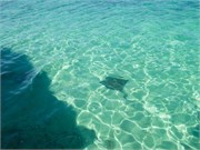 19-HalfMoonCayBahamas