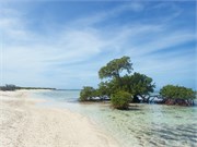 47-GrandTurk