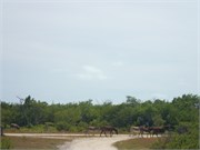 52-GrandTurk