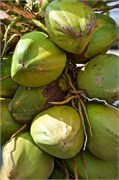 075-PuertoPlata