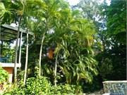 117-PuertoPlata