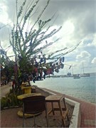 014-Bonaire