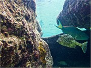023-Bonaire-UW