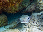 022-Bonaire-UW