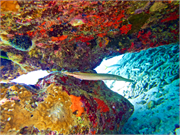 071-Bonaire-UW