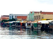 19-Curacao