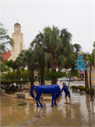 03-11-Aruba