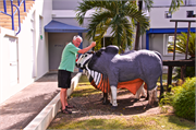19-099-PuertoPlata