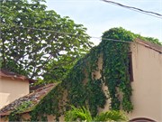 069-PuertoPlata
