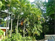 117-PuertoPlata