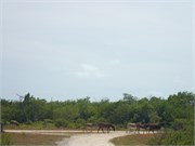 52-GrandTurk
