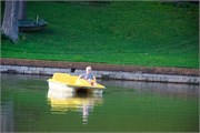 10-DuckPondMay2017