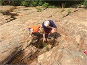 25-DuckPondMay2017