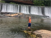 30-DuckPondMay2017