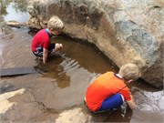 31-DuckPondMay2017