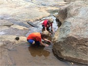32-DuckPondMay2017