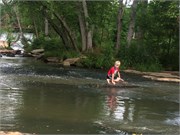 38-DuckPondMay2017