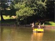 52-DuckPondMay2017
