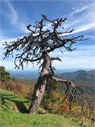06-BlueRidgeParkway